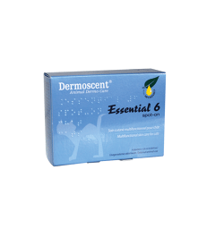 Dermoscent Essential 6 Chat . Boîte de 4 pipettes de 0,6 ml