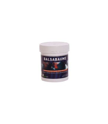 Balsabaume