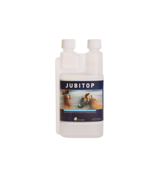 Jubitop .Bidon de 500 ml