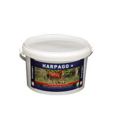 Harpago + .Pot de 1,5 kg