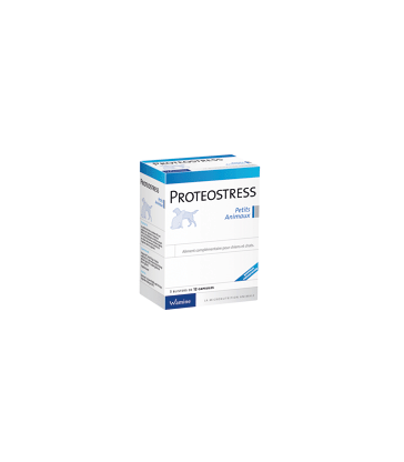 Proteostress PA