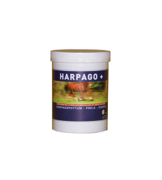 Harpago + .Pot de 500 g