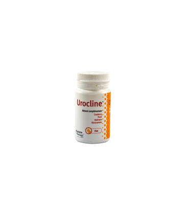 Urocline Chat