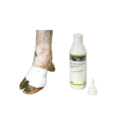 Hoof Bandage Bovivet .Gel en flacon de 500 ml