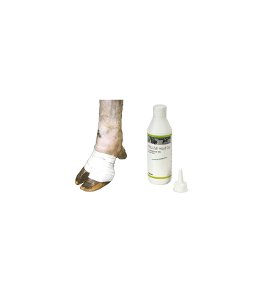 Hoof Bandage Bovivet