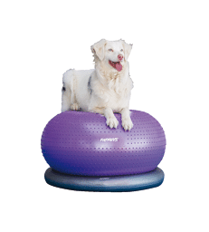 Ballon en forme de beignet FitPAWS Trax . Violet