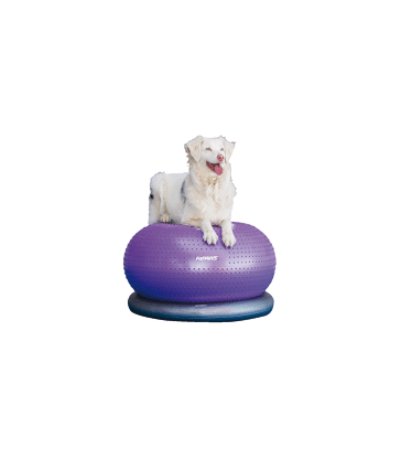 Ballon en forme de beignet FitPAWS Trax