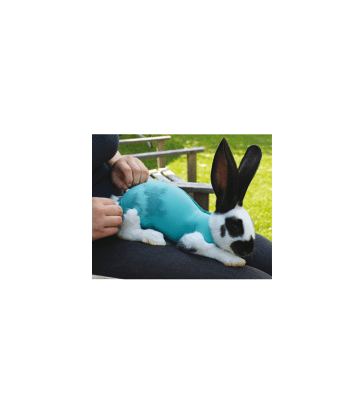 Gilet Safety Tube VetMedCare pour PA et NAC