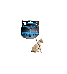 Ensemble harnais/laisse chat Bobby Safe .1,0 cm - Laisse 100 cm - Bleu