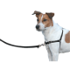 Harnais Easy Walk