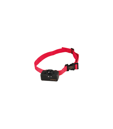 Collier anti-aboiement Bark Control