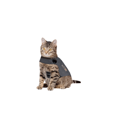Gilet anti-anxiété ThunderShirt pour chat