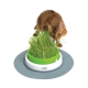 Jardin d'herbe à chat Catit Senses 2.0