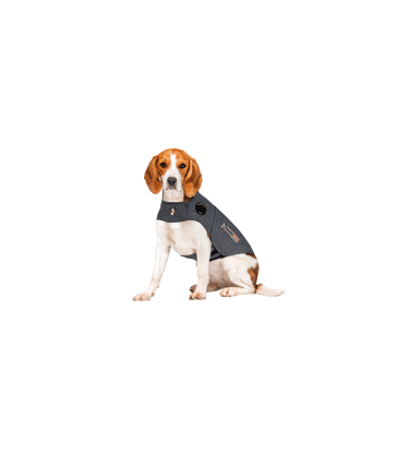 Gilet anti-anxiété ThunderShirt pour chien