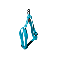 Harnais Confort .2,0 cm - Tour de poitrail : 50 à 70 cm - Turquoise