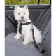 Harnais de sécurité voiture pour chien