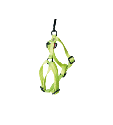 Harnais Confort .2,0 cm - Tour de poitrail : 50 à 70 cm - Vert Citron