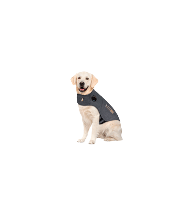 Gilet anti-anxiété ThunderShirt pour chien