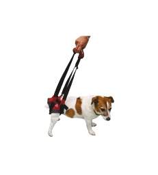 Harnais Handy-Canis pour chien paralysé du train arrière .XS - 30 à 33 cm Yorshire et chat