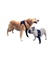 Manche antérieure Pet Shirt pour chien .3XS - Lg : 10 cm - Tour de poitrail : &lt; 30 cm
