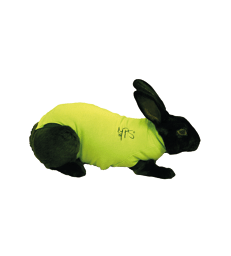 Gilet Pet Shirt pour lapin .XS - de 1,6 à 2,0 kg - Vert