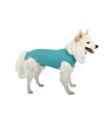 Gilet DogBody VetMedCare pour chien .Sans manches - Taille XXL - Lg : 80 cm et plus - Vert
