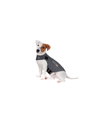 Gilet anti-anxiété ThunderShirt pour chien