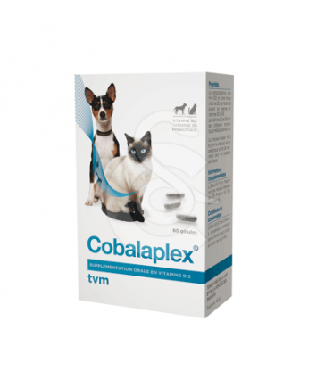 Cobalaplex - Boîte de 60 gélules