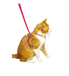 Harnais Chat Pop .1,0 cm - Lg : 30/40 cm - Noir/Vert