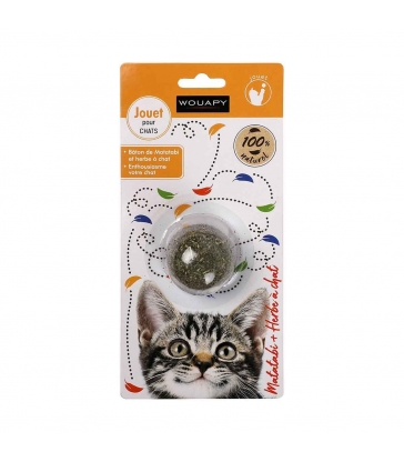 Herbe A Chats Pour Chat Animostore