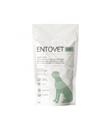 Entovet Chien