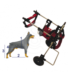 Chariot Canis-mobile avec Handy-Canis .Chien paralysé du train arrière - MM - Handy M