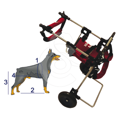 Chariot pour vétérinaire avec chien 