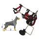 Chariot Canis-mobile avec Handy-Canis