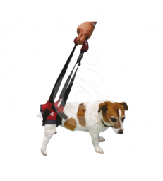 Harnais Handy-Canis pour chien paralysé du train arrière . XL - 63 à 81 cm St Bernard, Terre-neuve...XL - 63 à 81 cm St Bernard,