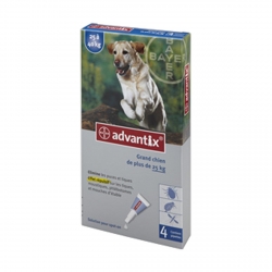 Advantix Grand chien