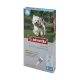 Advantix Petit chien