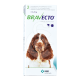 Bravecto Chien 500 mg ( 10-20 kg)