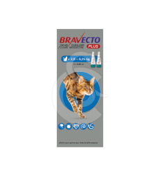 Bravecto Plus Chat 2,8-6,2 kg