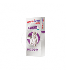 Bravecto Plus Chat 6,25-12,5 kg