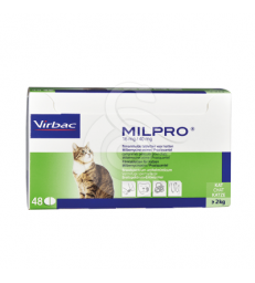 Milpro Chat