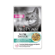 Cat Delicate Poisson Sauce Sachet repas