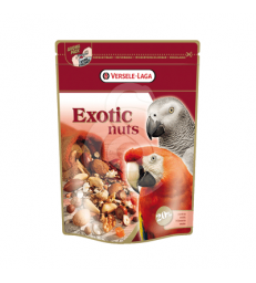 Perroquets Exotic Nuts