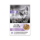 Cat Kitten Dinde Sauce Sachet repas