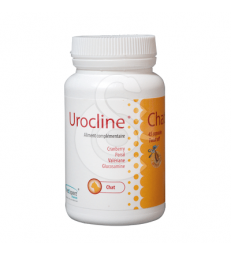 VETEXPERT Urocline Chat