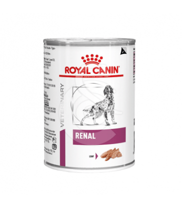 Dog Renal Boîte