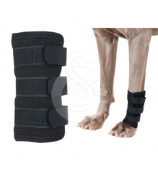 Protection patte avant pour chien Back On Track