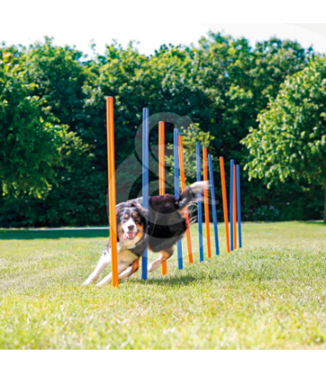 Agility : Slalom Trixie Fun