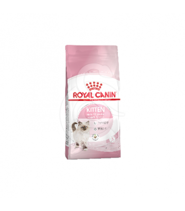 Cat Kitten Royal Canin