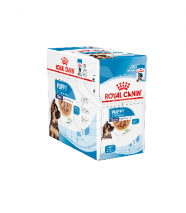 Dog Puppy Maxi Sachet repas